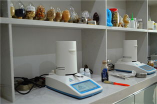 樹脂固含量測(cè)定儀價(jià)格 品牌