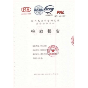 檢驗(yàn)報(bào)告