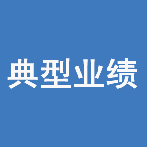 典型業績